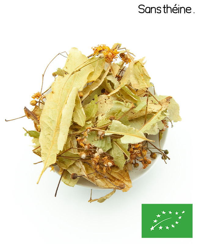 Tilleul Bractée BIO