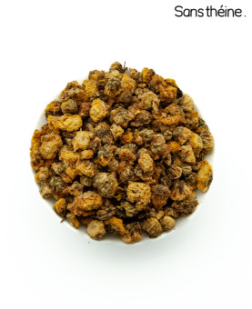 Fleurs de Chrysanthème sauvages Chine (Tai Ju胎菊)