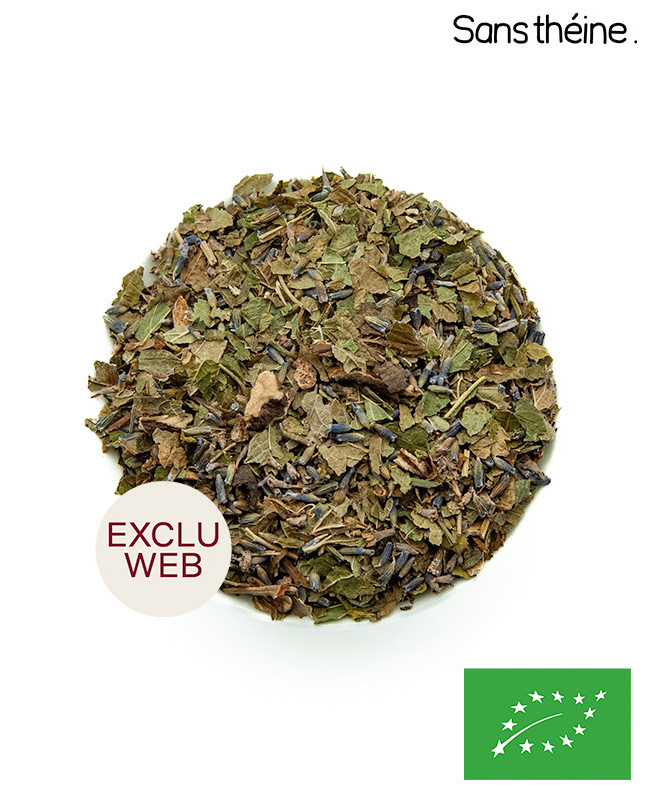 mamie cool - exclu web