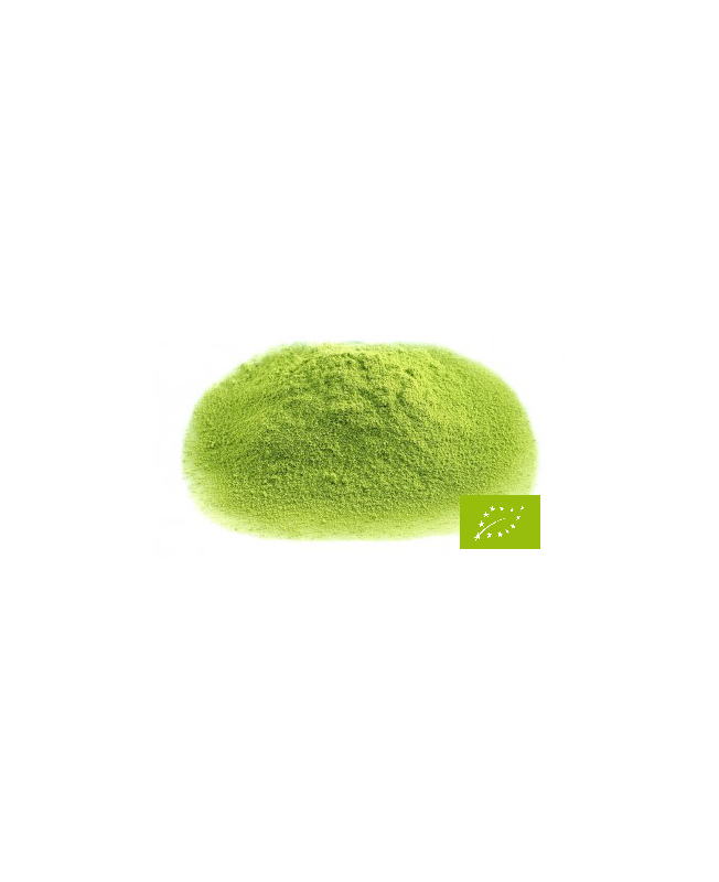 Matcha Culinaire BIO* pour Latte et pâtisseries - Thé Vert Japonais broyé en poudre