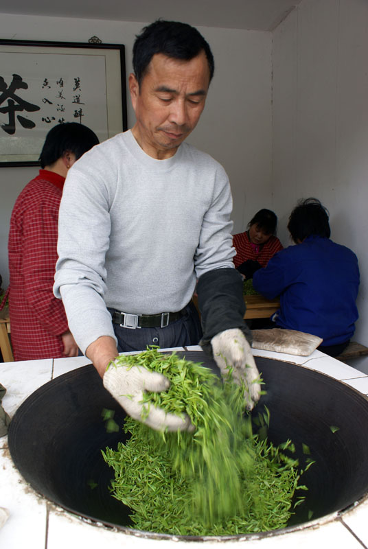 Qu’est-ce qu’un thé vert ?