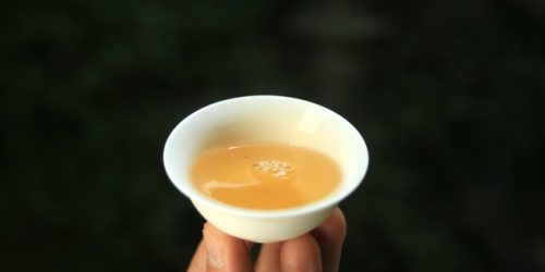 jardin-de-badamtam-darjeeling-first-flush-dj-06-sftgfop1-2025