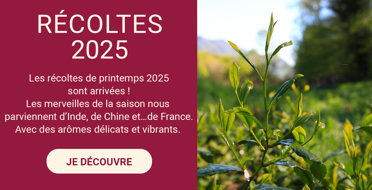 Lesthésdeprintemps