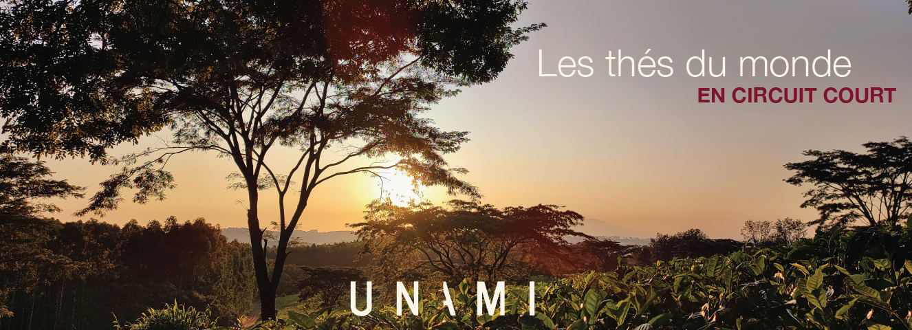 Les thés du monde en circuit court 