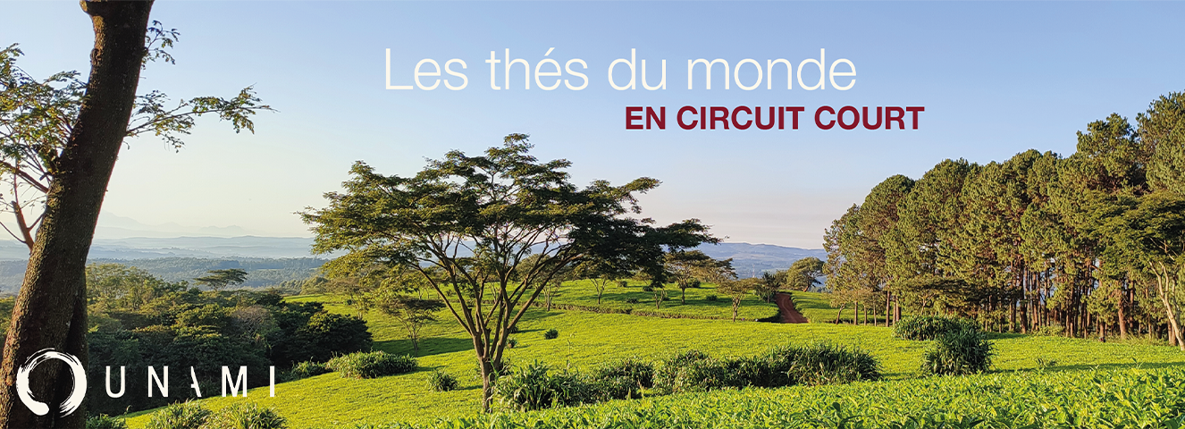 Les thés du monde en circuit court 