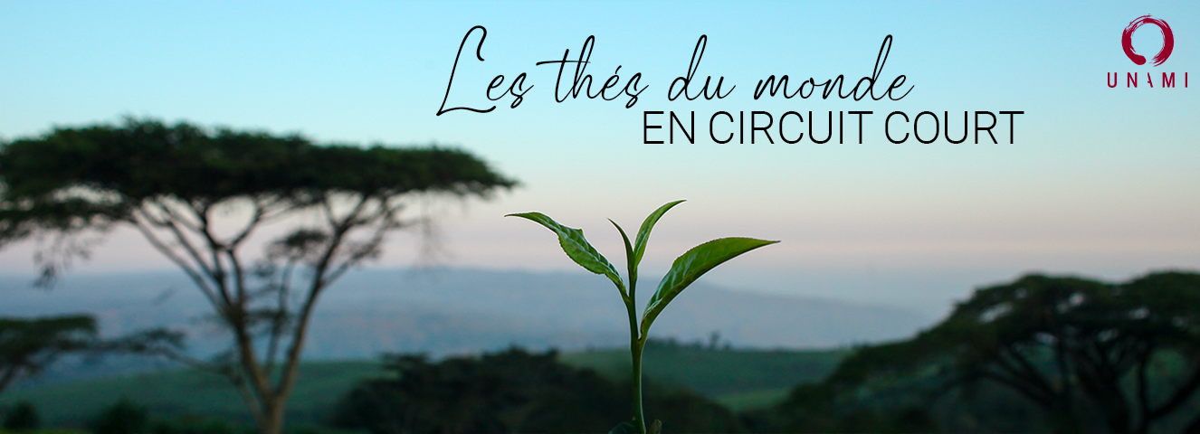 Les thés du monde en circuit court