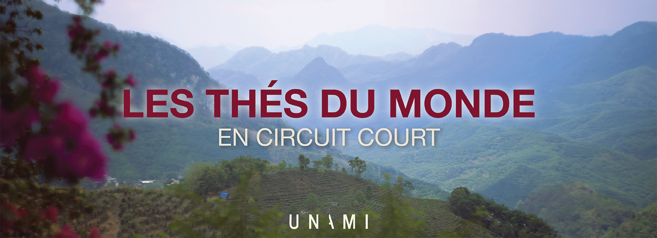 Les thés du monde en circuit court