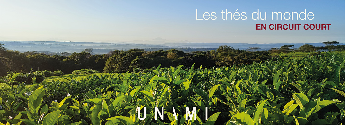 Les thés du monde en circuit court 