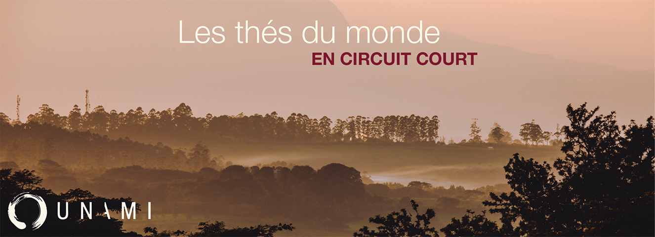 Les thés du monde en circuit court 