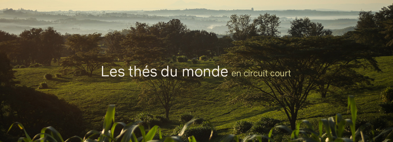 UNAMI - LES THES DU MONDE RECOLTES 2026